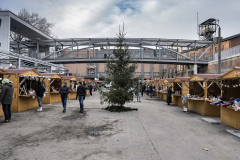 BarborkoweLowe-2021-dzien-2-male-Pawel-JaNic-Janicki-045