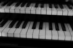 20240602153326_IMG_0417