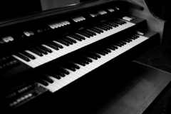 20240602155233_IMG_0447