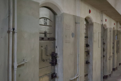 20240512115334_IMG_9157-01_copy_6123x4082