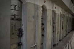 20240512115338_IMG_9158-01_copy_6123x4082