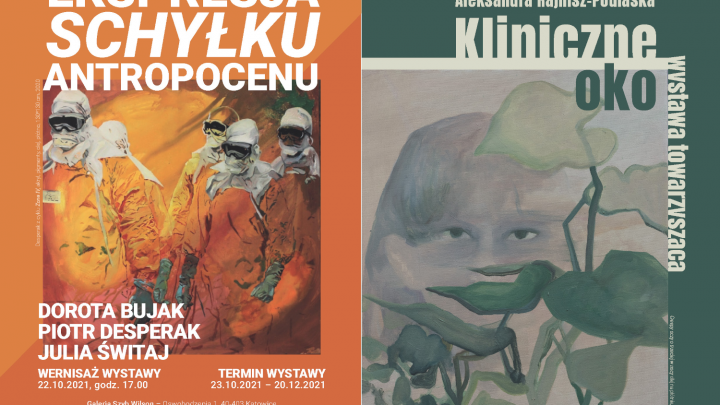 „Ekspresja schyłku antropocenu” i „Kliniczne oko”