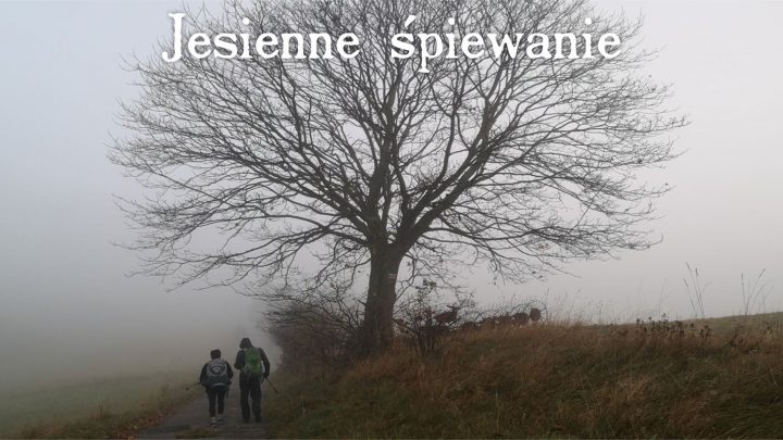 Jesienne śpiewanie