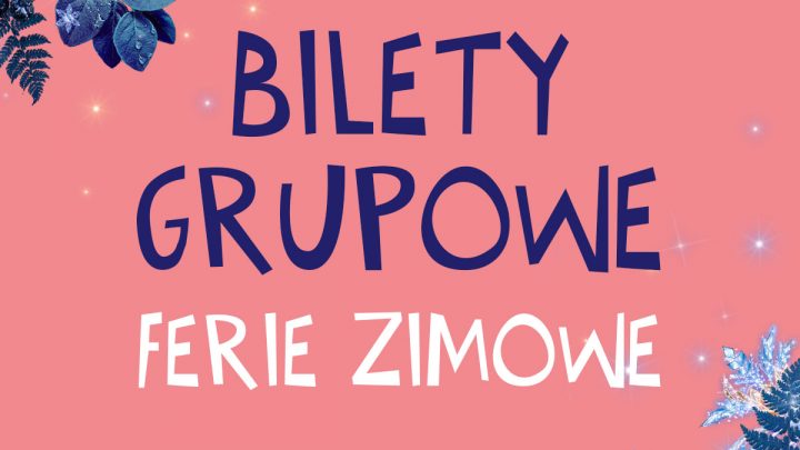 Ferie zimowe w Parku Miliona Świateł