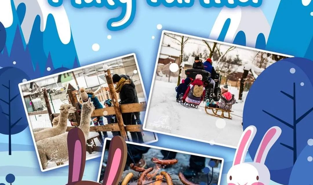 „Mały Farmer” – zimowe ferie ze zwierzakami