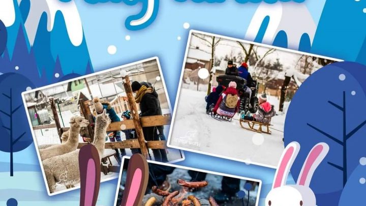 „Mały Farmer” – zimowe ferie ze zwierzakami