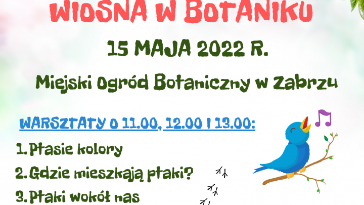 Rozćwierkana wiosna w Botaniku