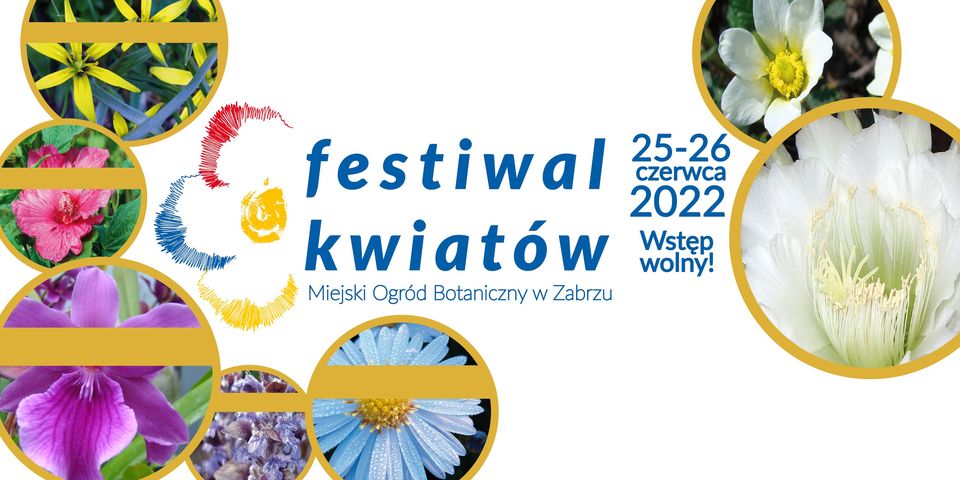 Festiwal Kwiatów 2022