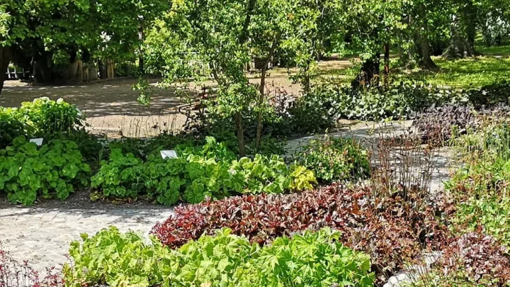 Foto Piknik na Trawie Żurawkowe Love