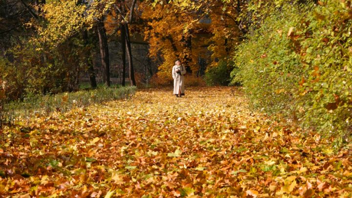 Jesienny koncert muzyki filmowej