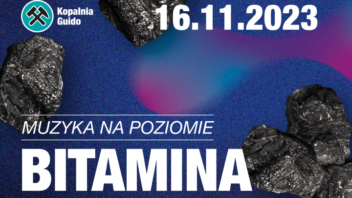 Bitamina – Muzyka na poziomie