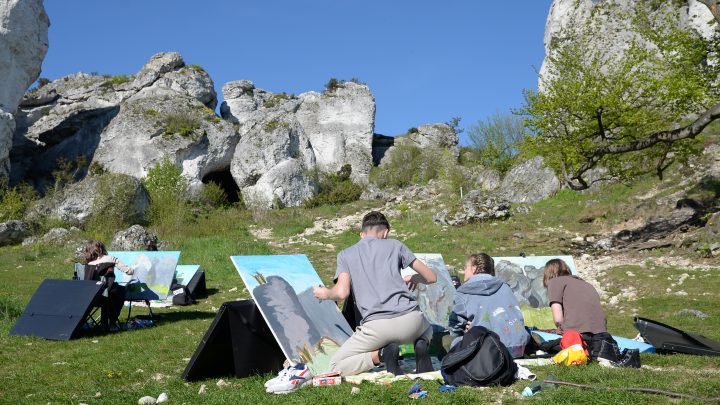 Sztuka pod ochroną – wernisaż wystawy