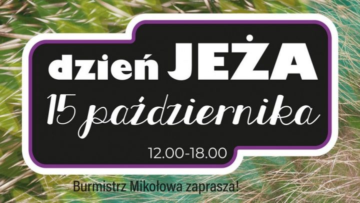 Dzień jeża w Śląskim Ogrodzie Botanicznym