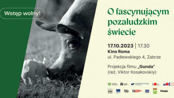 Spotkanie z eko-filmem