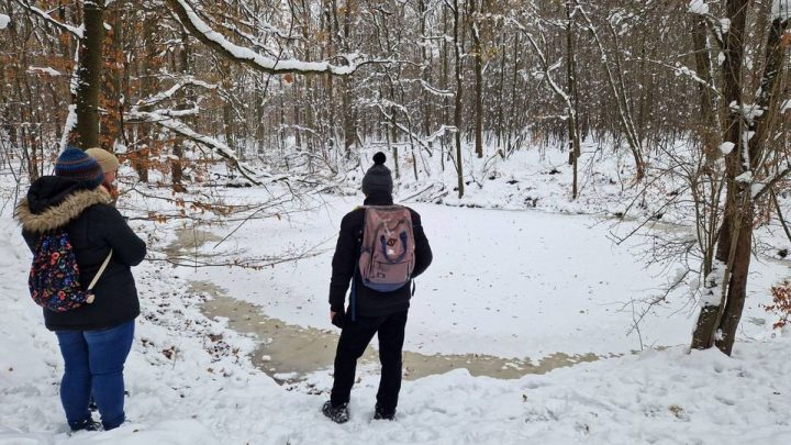 PoChodzenie 1/24/#Kartel Kulturalny + Petycja #Wajzera21