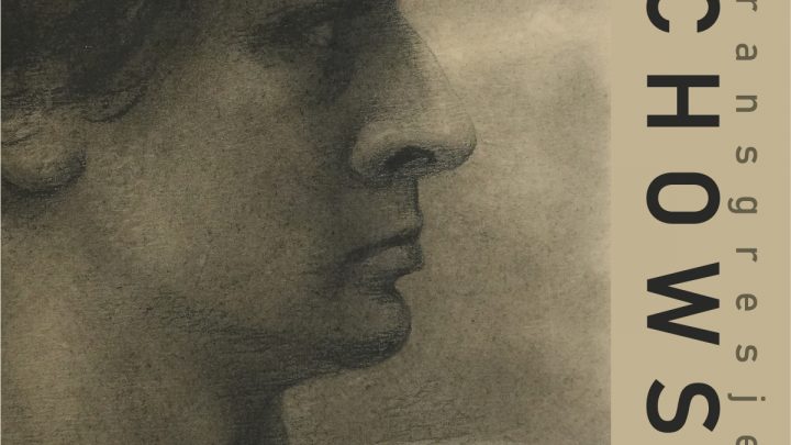 Stefan Żechowski. Transgresje