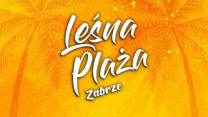 IX Otwarte Mistrzostwa Śląska w Siatkówce Plażowej LEŚNA PLAŻA ZABRZE 2024