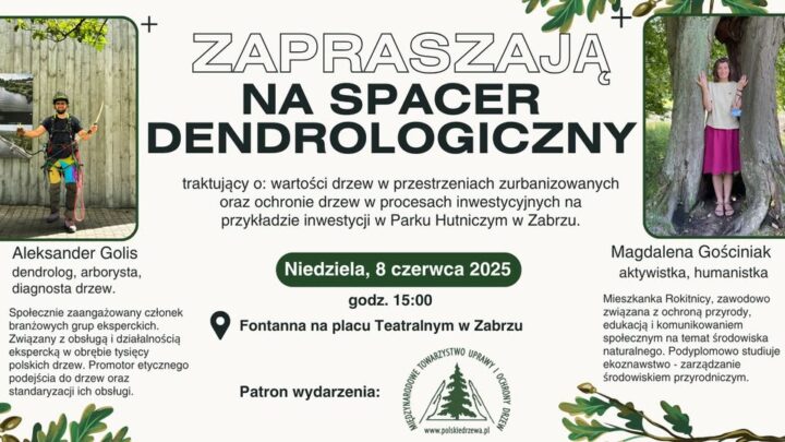 Drugi Zabrzański Spacer Dendrologiczny