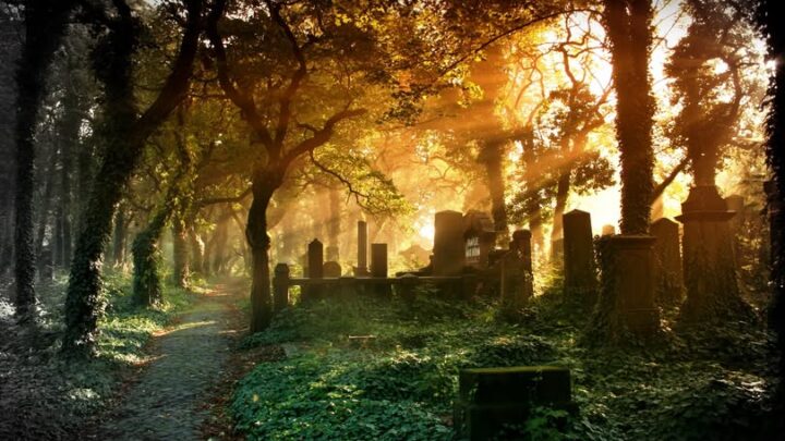 Zwiedzanie Zabytkowego Cmentarza Żydowskiego