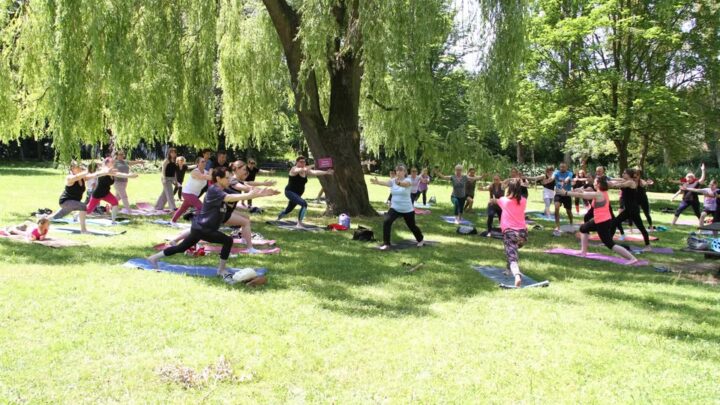 Bezpłatna joga na trawie w Ogrodzie Botanicznym
