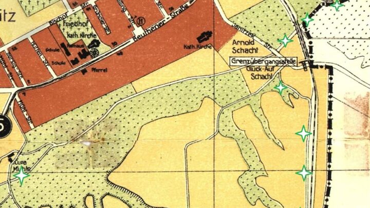 Zielono mi… Wakacyjne spacery z Muzeum!