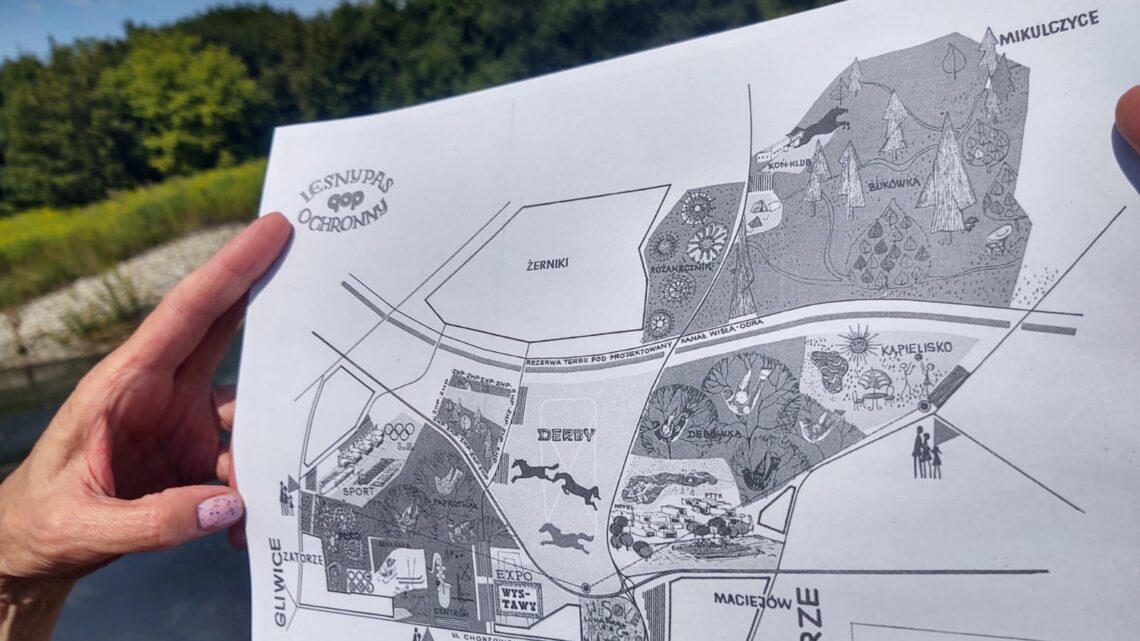 „Zielono mi” – spacer z Muzeum Miejskim w Zabrzu