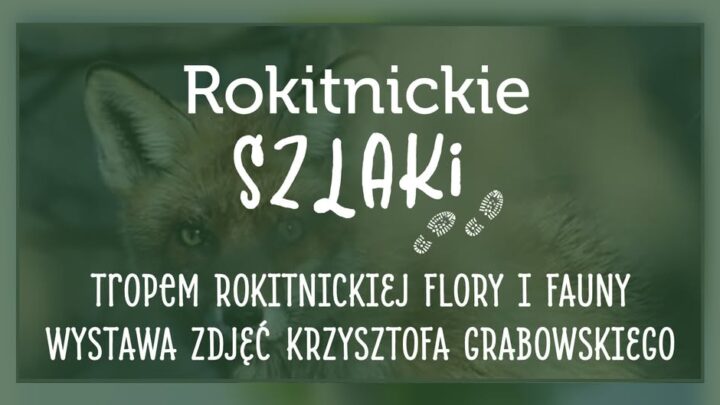 Rokitnickie szlaki