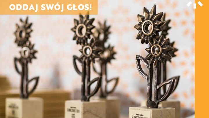 Zabrzańskie projekty „Pociąg do książek” i „Górnicze Miasto Dzieci” w drodze po Słoneczniki