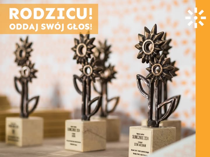 Zabrzańskie projekty „Pociąg do książek” i „Górnicze Miasto Dzieci” w drodze po Słoneczniki