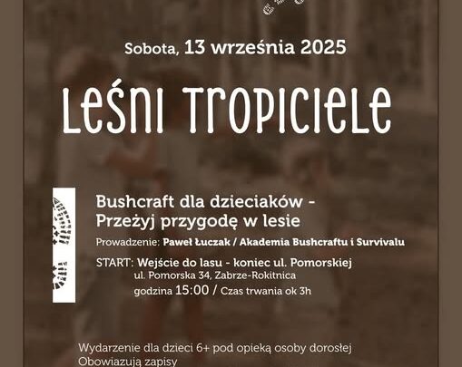 Leśni Tropiciele