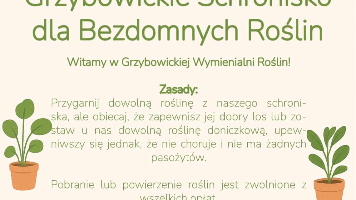 Grzybowickie Schronisko dla Bezdomnych Roślin rusza w DOK Grzybowice!