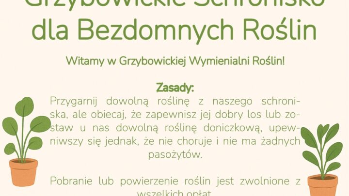Grzybowickie Schronisko dla Bezdomnych Roślin rusza w DOK Grzybowice!