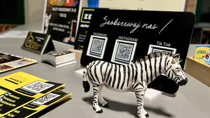 ZEBRA – interaktywna wystawa dla tych, którzy chcą dotknąć nauki