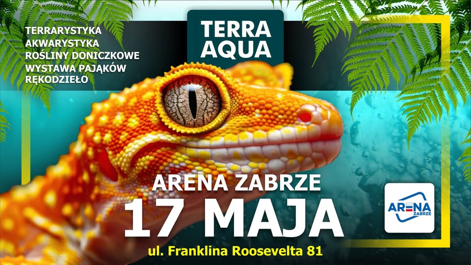 arena