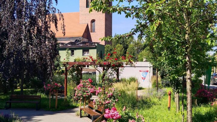 Zielono mi… – Wakacyjne spacery z Muzeum!